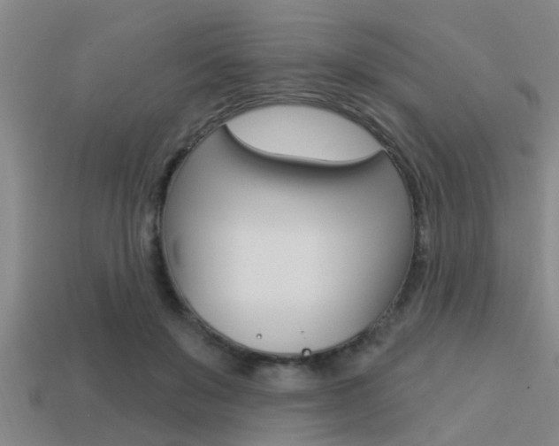 X0000113300503200909140948