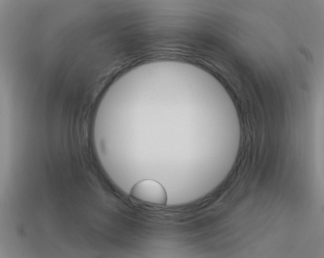 X0000113300504200909140948