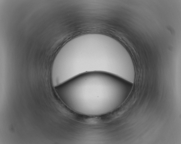 X0000113300505200909140948