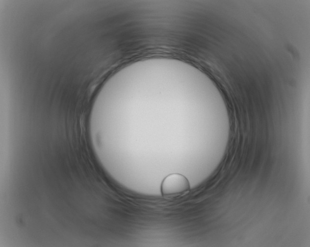 X0000113300508200909140948