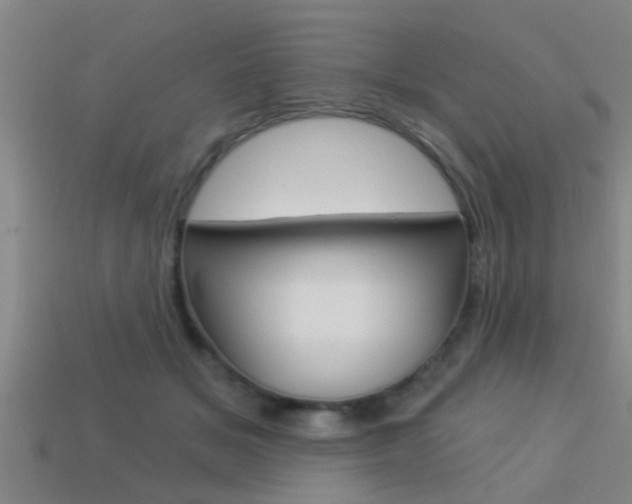 X0000113300509200909140948