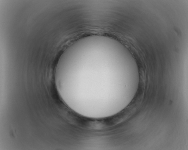 X0000113300511200909140948