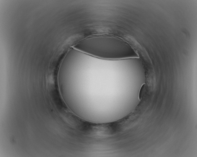 X0000113300516200909140948