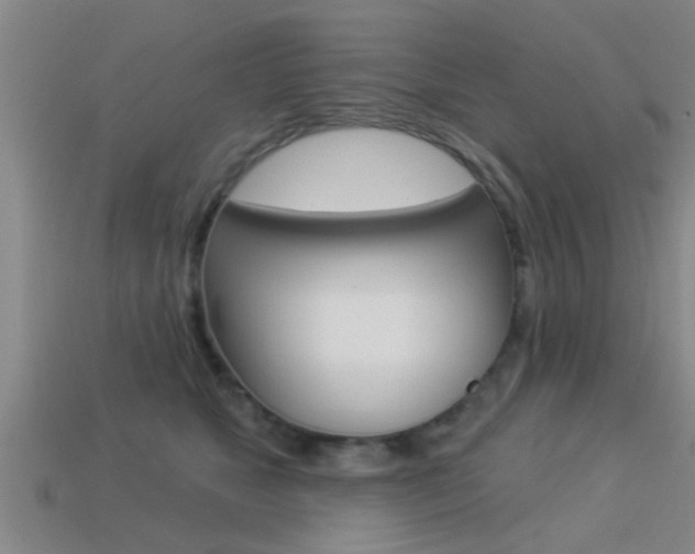 X0000113300517200909140948