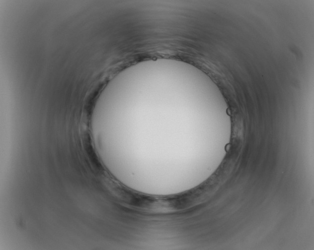X0000113300518200909140948