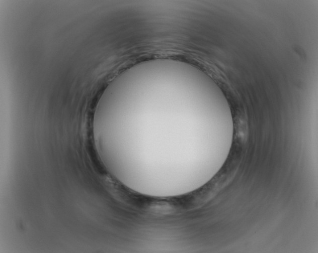 X0000113300519200909140948
