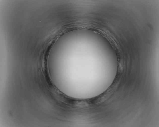 X0000113300520200909140948