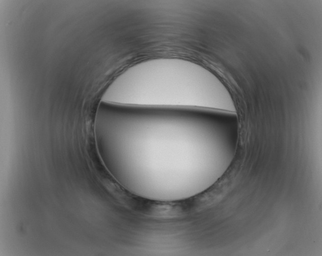 X0000113300521200909140948
