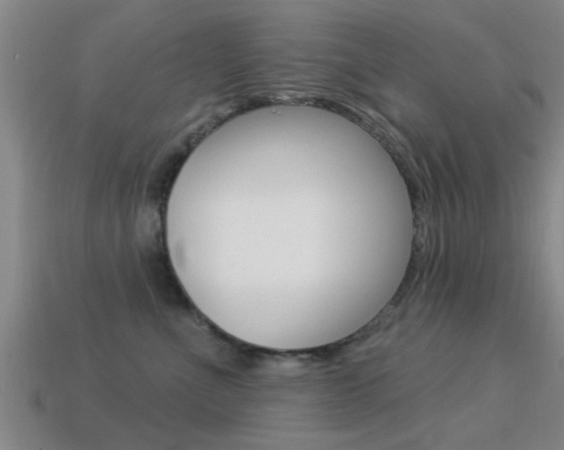 X0000113300523200909140948