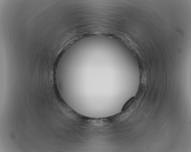 X0000113300524200909140948