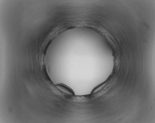 X0000113300525200909140948
