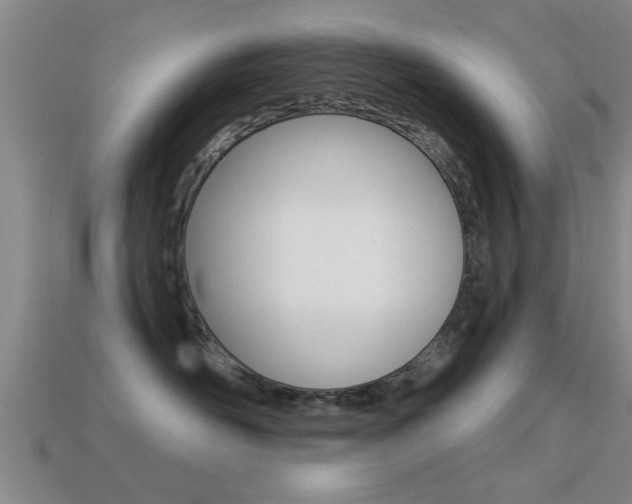 X0000113300526200909140948
