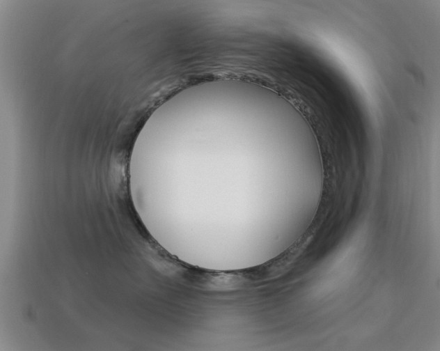 X0000113300527200909140948
