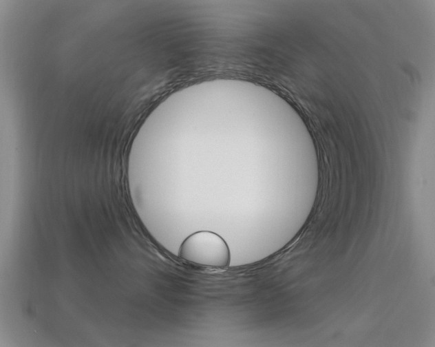 X0000113300528200909140948