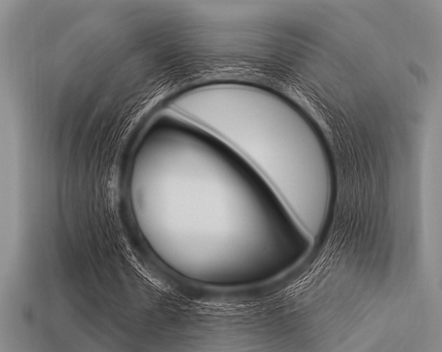 X0000113300530200909140947