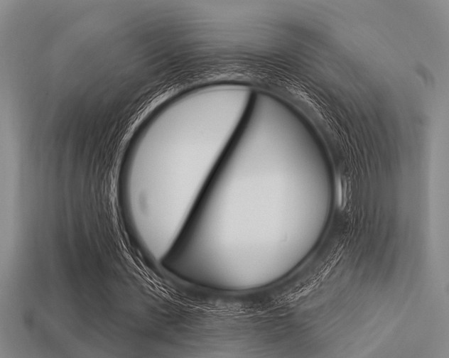 X0000113300531200909140947