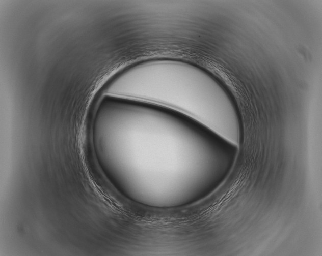 X0000113300532200909140947