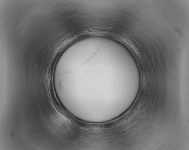 X0000113300533200909140947