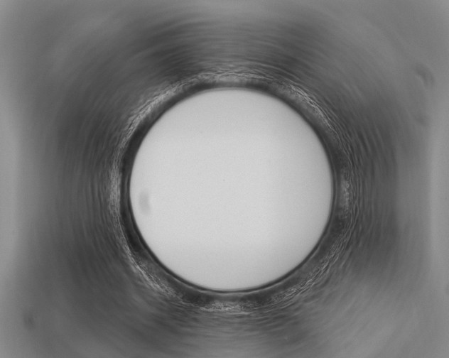 X0000113300534200909140947