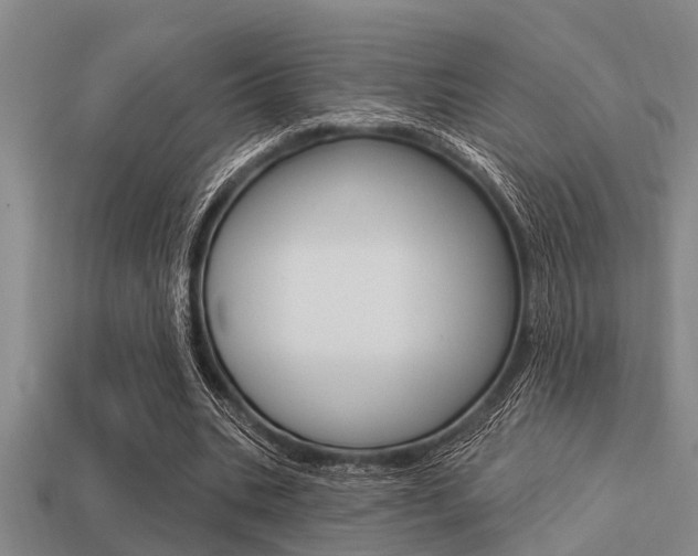 X0000113300535200909140947