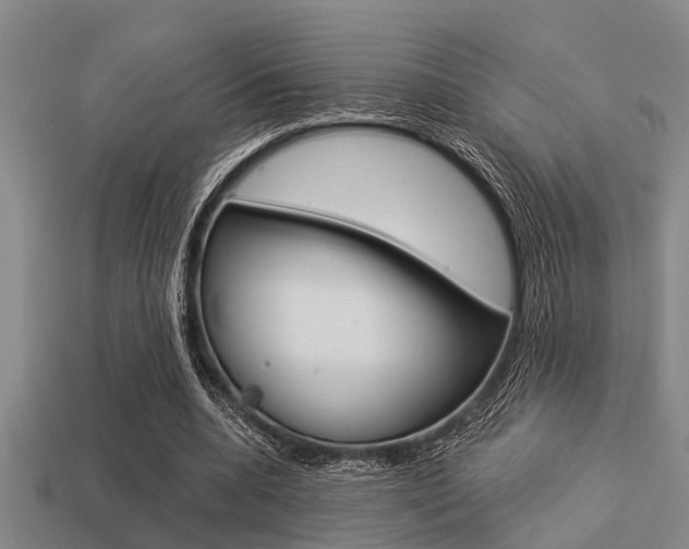 X0000113300536200909140947