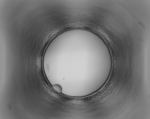 X0000113300537200909140947