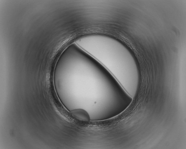 X0000113300538200909140947
