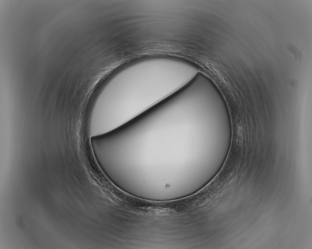 X0000113300539200909140947