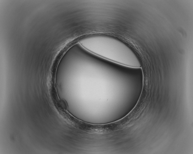 X0000113300540200909140947