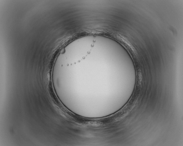 X0000113300541200909140947