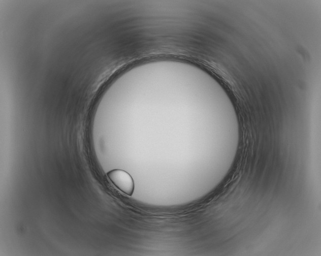 X0000113300544200909140947