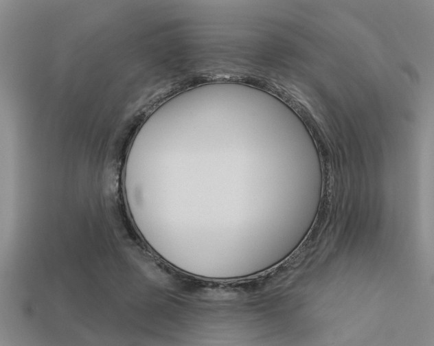X0000113300545200909140947