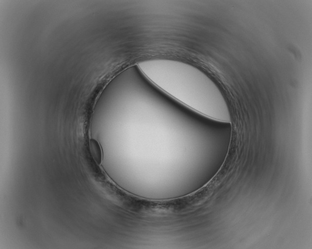 X0000113300546200909140947