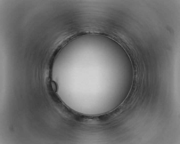 X0000113300548200909140947