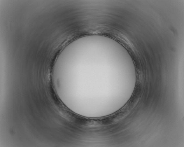 X0000113300549200909140947
