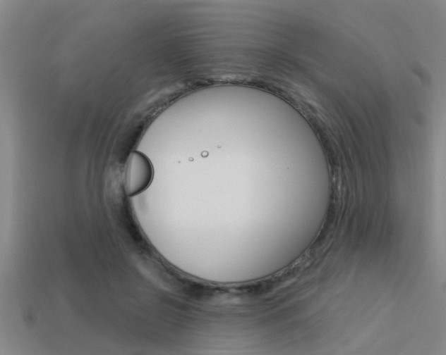 X0000113300550200909140947
