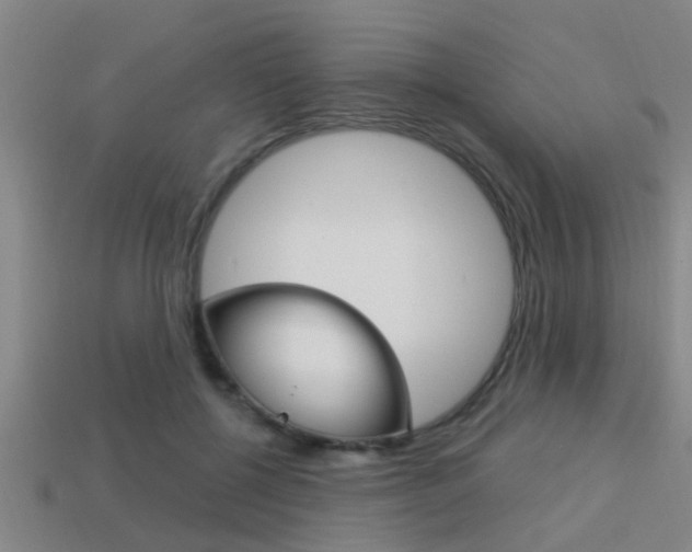 X0000113300552200909140947