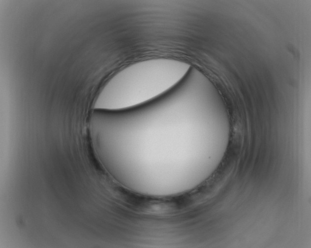 X0000113300555200909140947