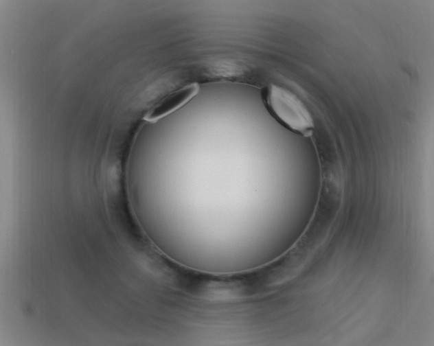 X0000113300556200909140947