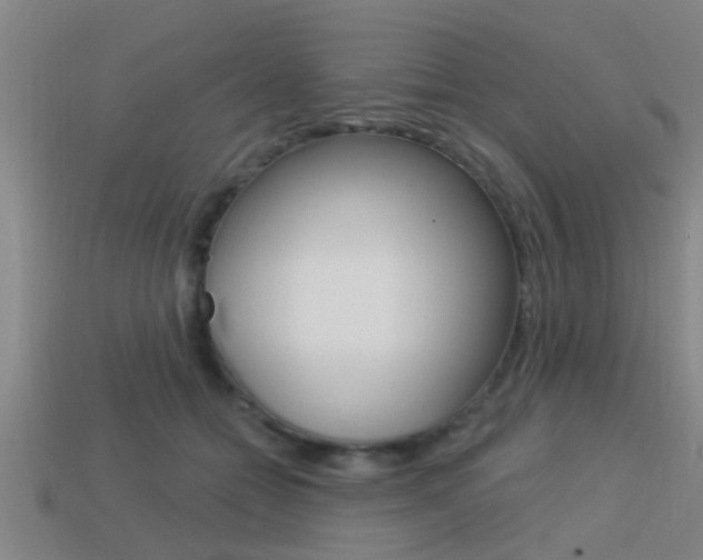 X0000113300558200909140947