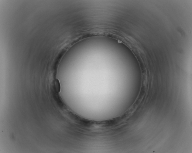 X0000113300560200909140947