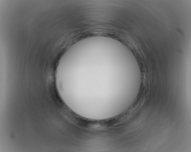 X0000113300561200909140947