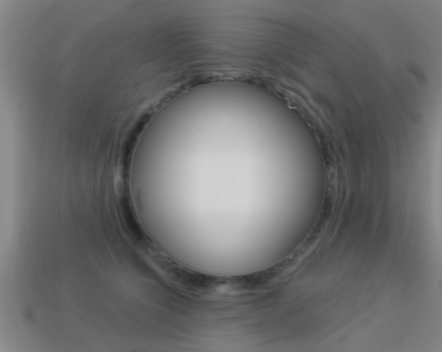 X0000113300564200909140947