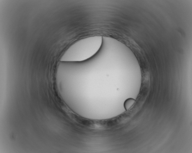 X0000113300565200909140947