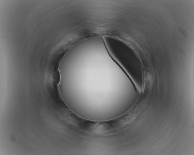 X0000113300566200909140947