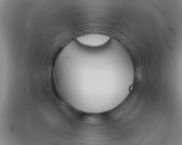 X0000113300567200909140947