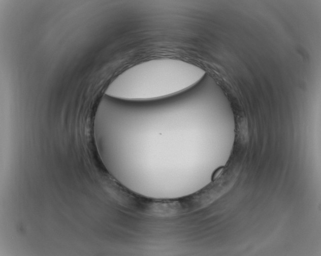 X0000113300571200909140948