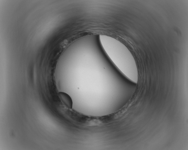 X0000113300572200909140948