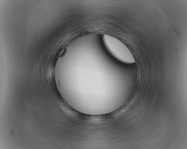 X0000113300574200909140948
