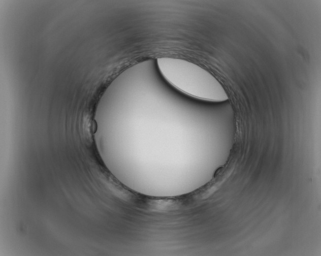 X0000113300575200909140948